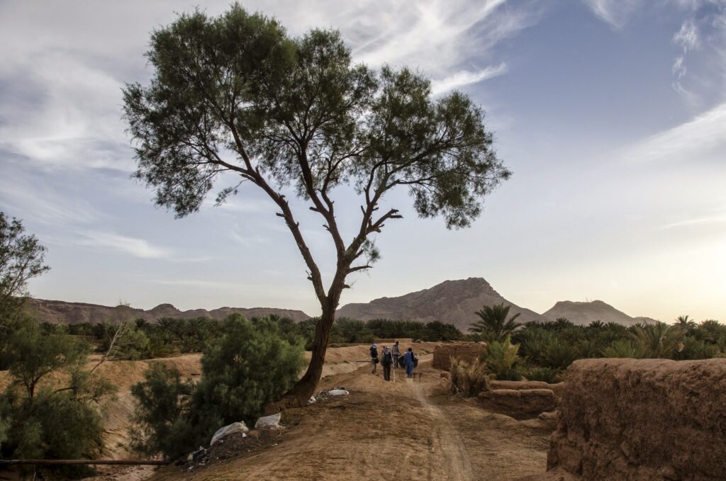 Titrit Morocco Tours