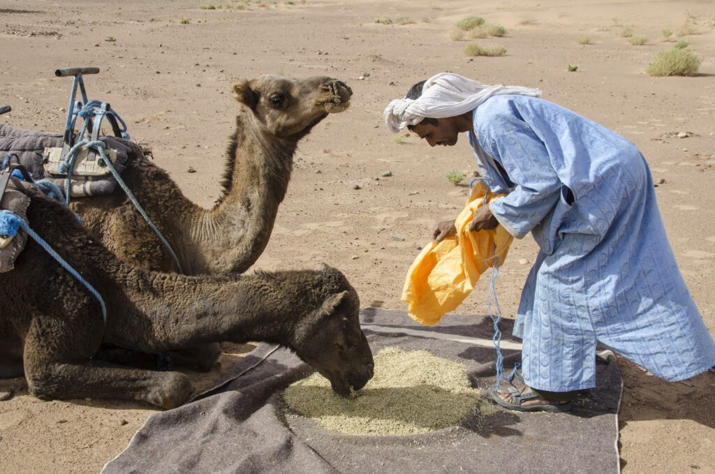 Titrit Morocco Tours