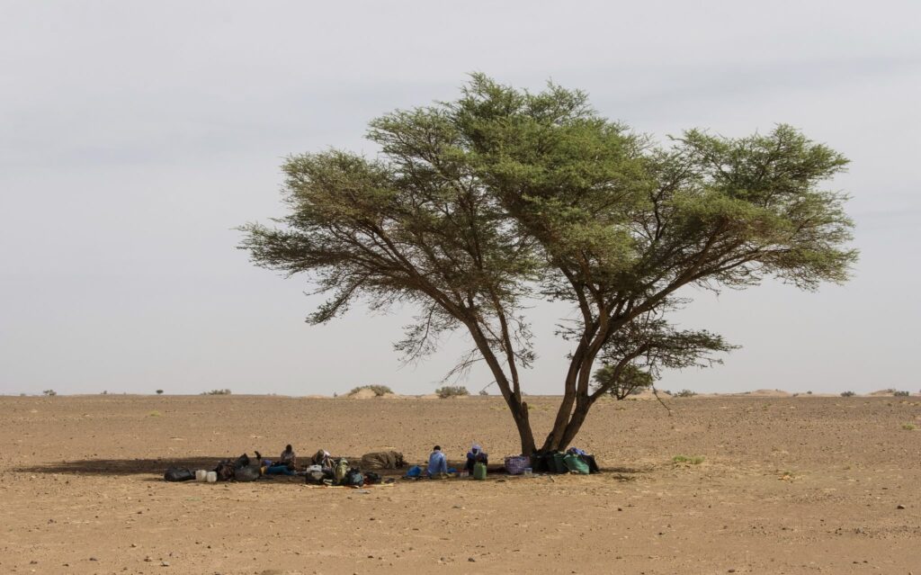 Titrit Morocco Tours