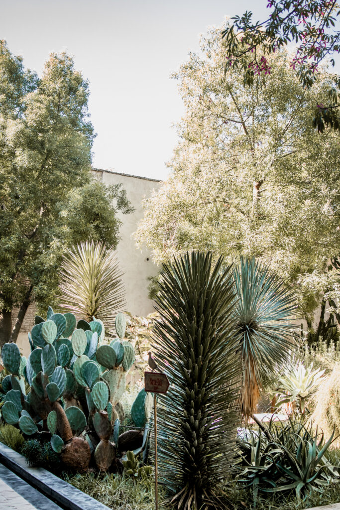 Titrit Morocco Tours