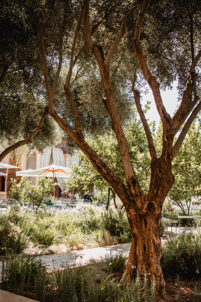 Titrit Morocco Tours