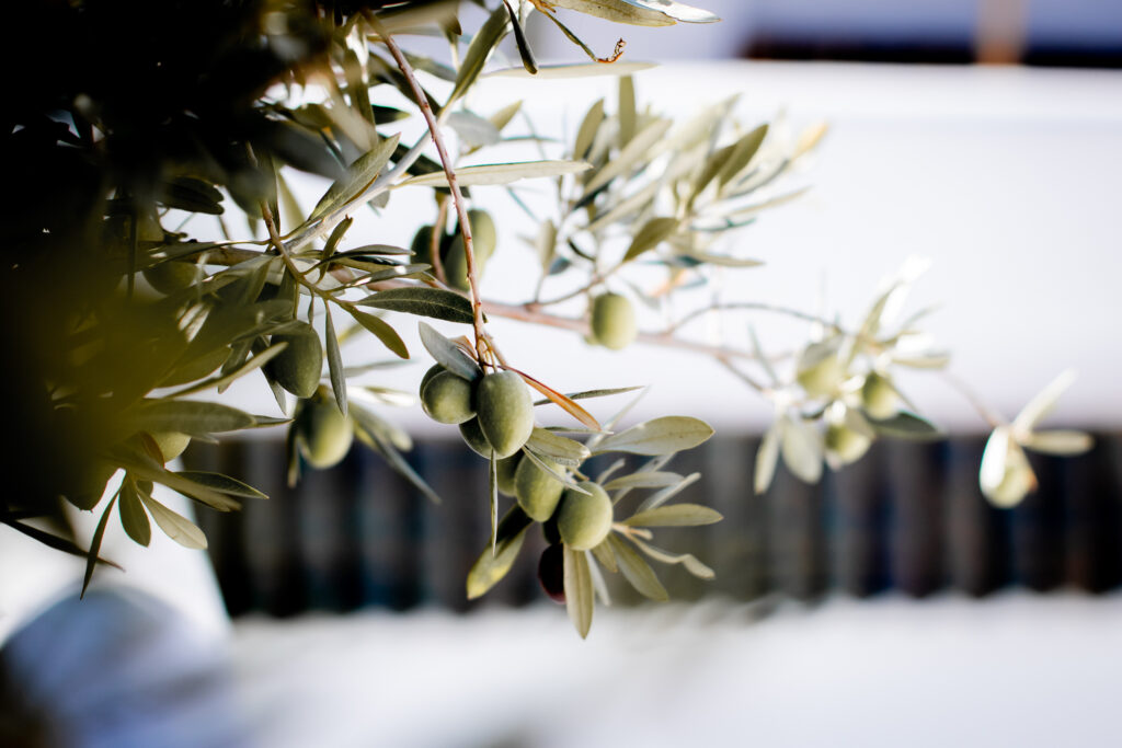 Titrit Morocco Tours