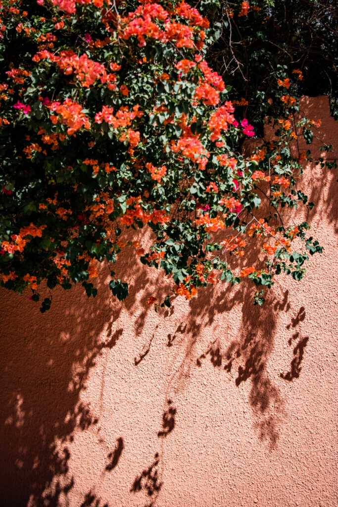 Titrit Morocco Tours