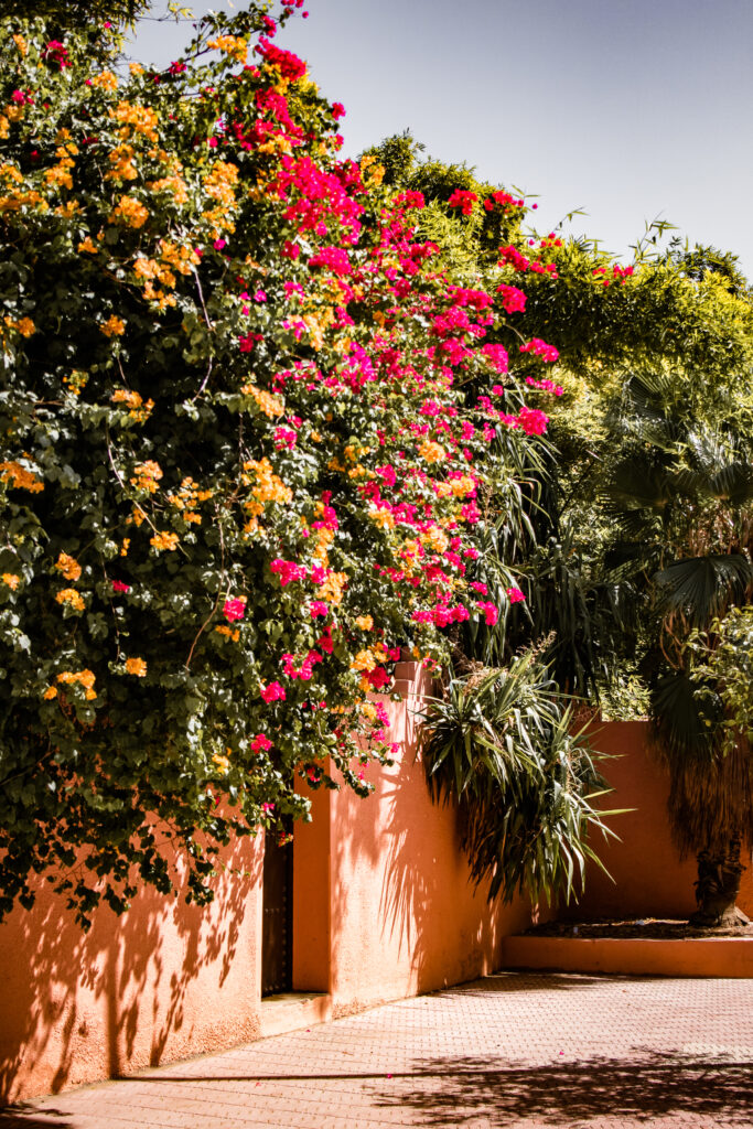 Titrit Morocco Tours