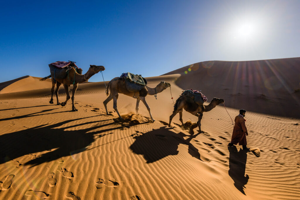 Titrit Morocco Tours