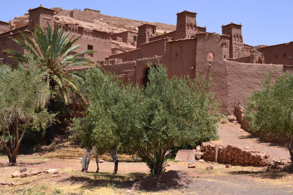 Titrit Morocco Tours
