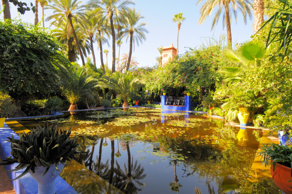 10 THING TO DO A MARRAKECH