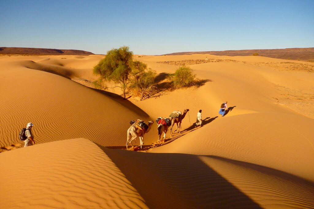 Marrakech Desert Tour ITINERARY