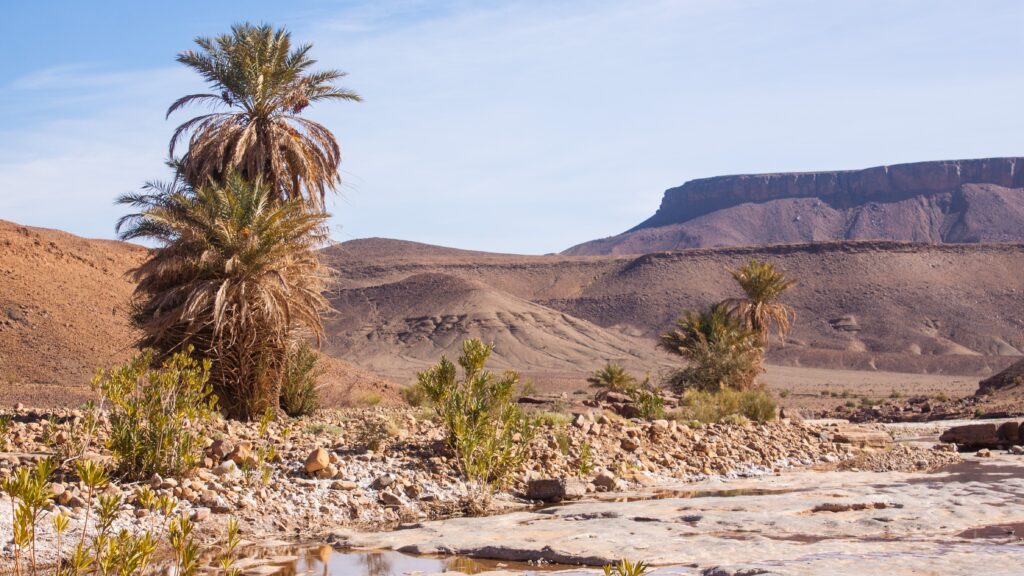 Titrit Morocco Tours