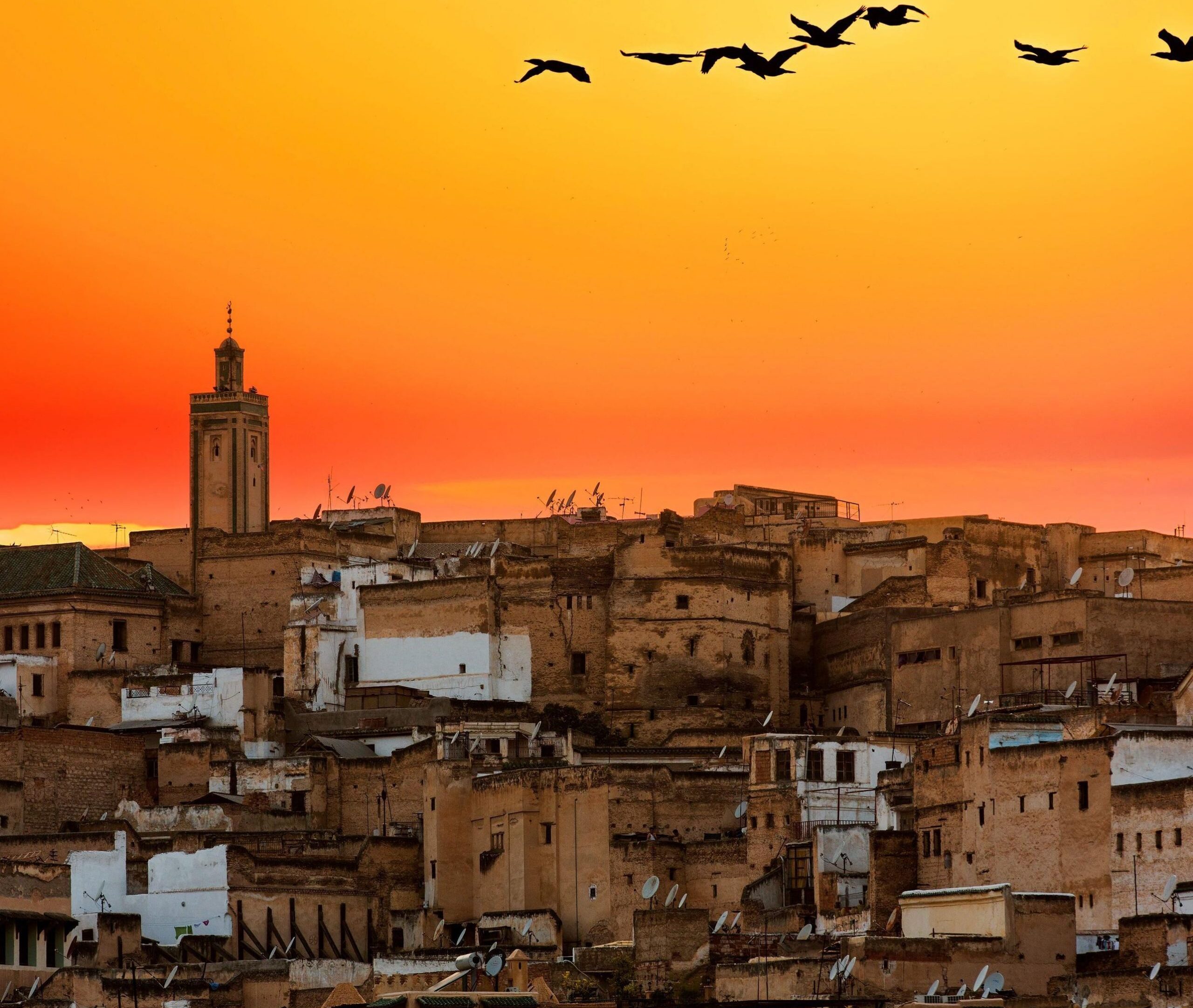 15 Things To Do in Fez