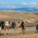 4 day tour from Marrakech