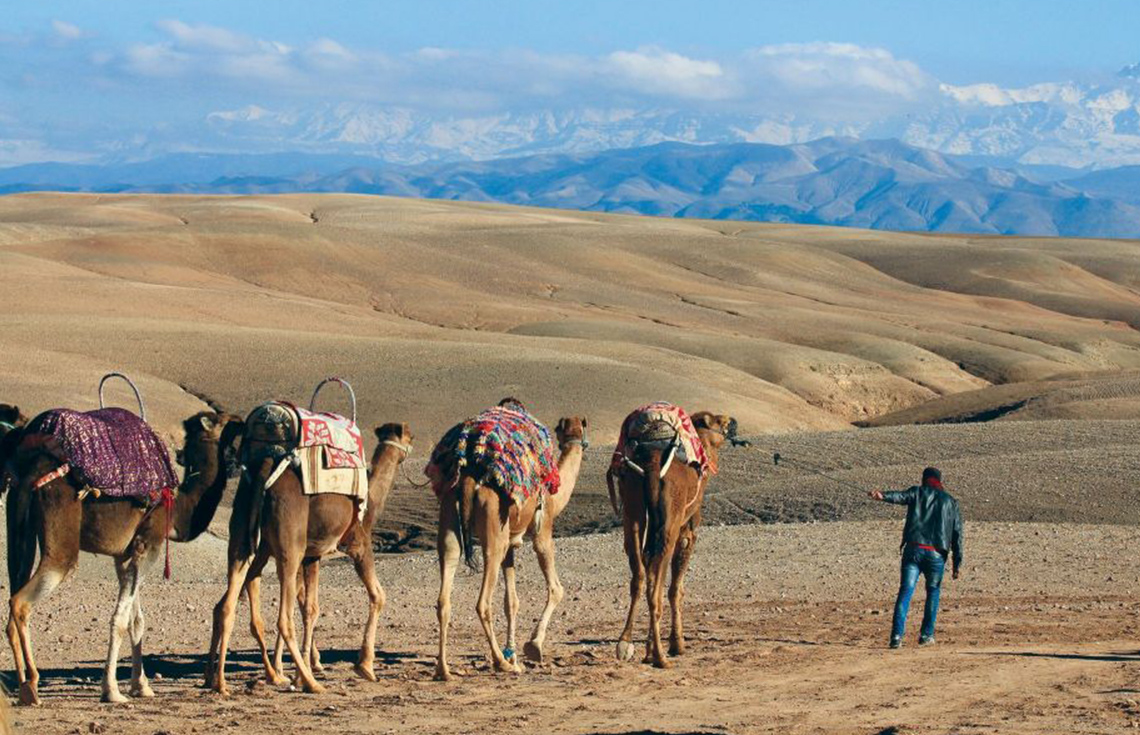 marrakech agafay desert
